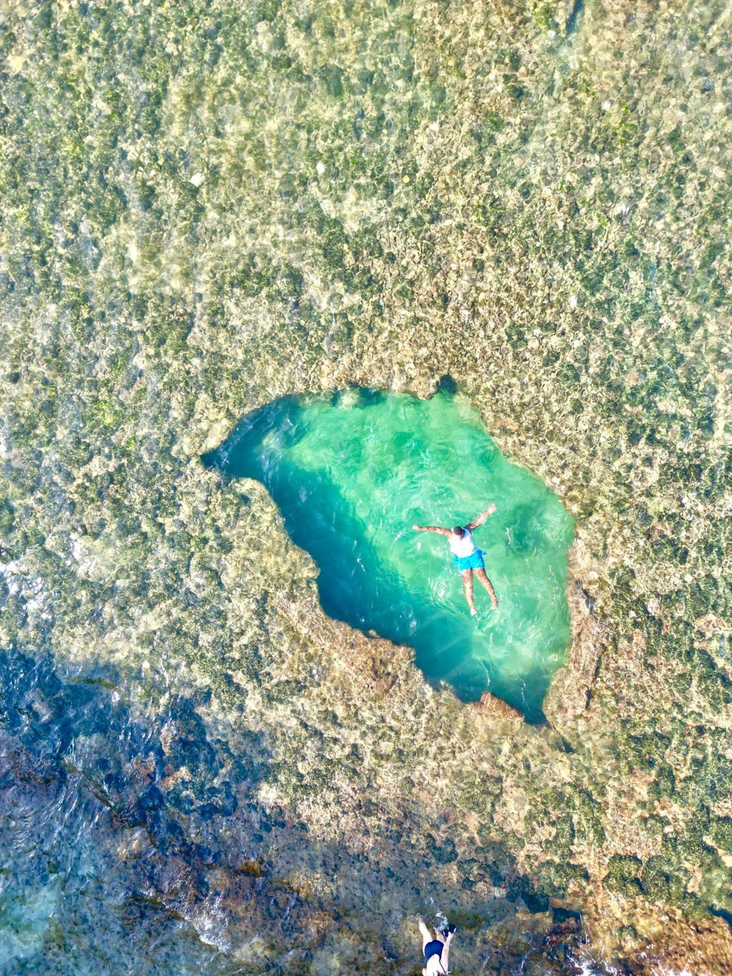 Puerto Viejo de Talamanca Oso Perezoso Pool Villa מראה חיצוני תמונה