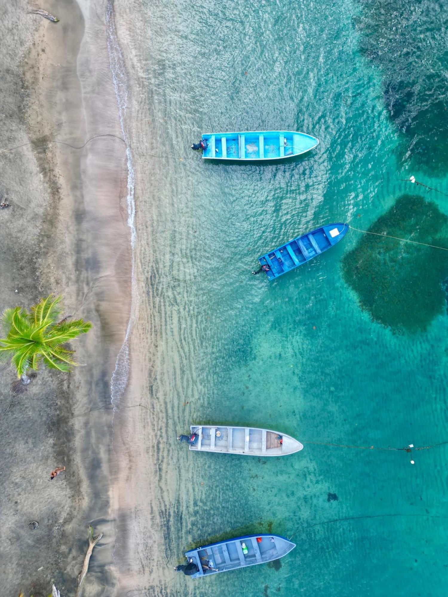 Puerto Viejo de Talamanca Oso Perezoso Pool Villa מראה חיצוני תמונה